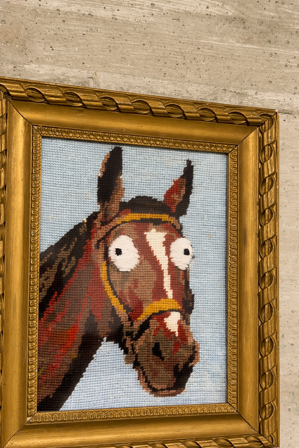 Mentally Disabled Horse - Image 2