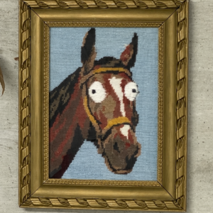 Mentally Disabled Horse