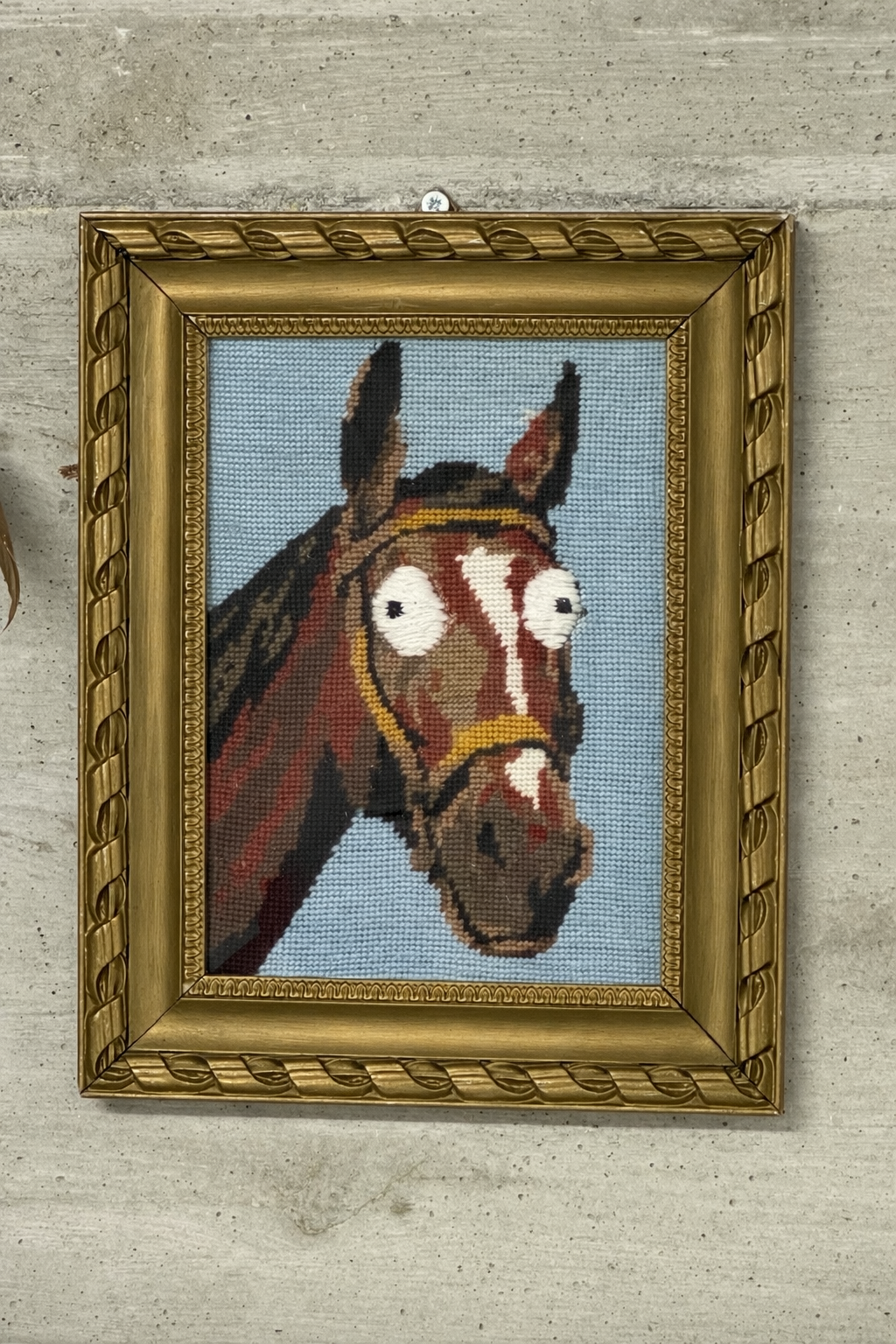 Mentally Disabled Horse