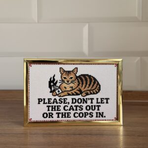 No cats out or cops in Riffcamino